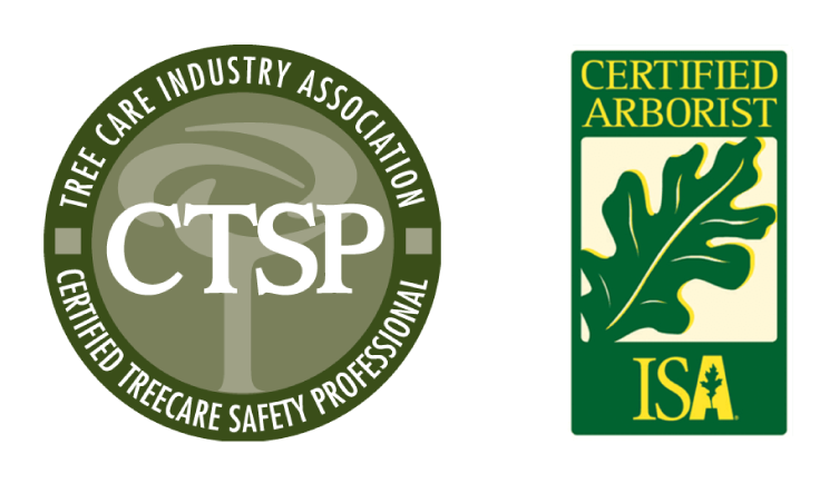 AlpineArborists ISA Certification Chasi web builder together
